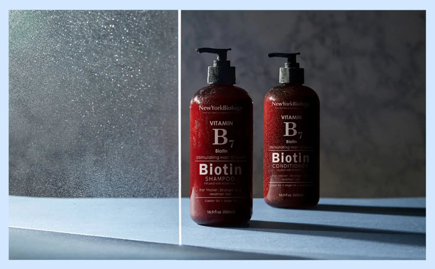 New York Biology Biotin Shampoo for Hair Growth and Thinning Hair – Thickening Formula for Hair Loss Treatment – For Men & Women – Anti Dandruff - 16.9 fl Oz 16.9 Fl Oz (Pack of 1) Biotin Shampoo - 16.9 Fl Oz (Pack of 1)