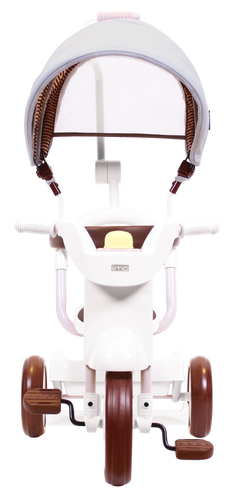iimo 3-in-1 Foldable Tricycle with Canopy