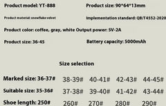 Electric Heating Shoes