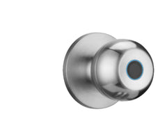Smart Keyless Entry Door Lock