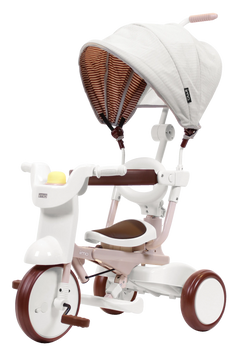 iimo 3-in-1 Foldable Tricycle with Canopy